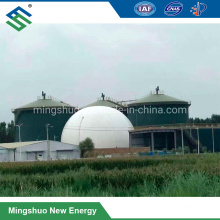 Membrane Gas Storage Tank Biogas Storage for Wastewater Treatment Plant